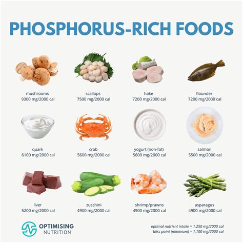 Top 12 Mineral-Rich Foods: Your Key to Optimal Health | Optimising Nutrition