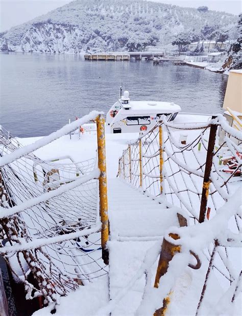 GEMLIK DAIRE 2 - Cottage Reviews, Photos, Rate Comparison - Tripadvisor