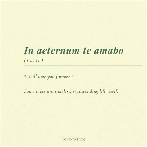 Latin phrase. in 2025 | Beautiful latin words, Latin love quotes, Latin ...