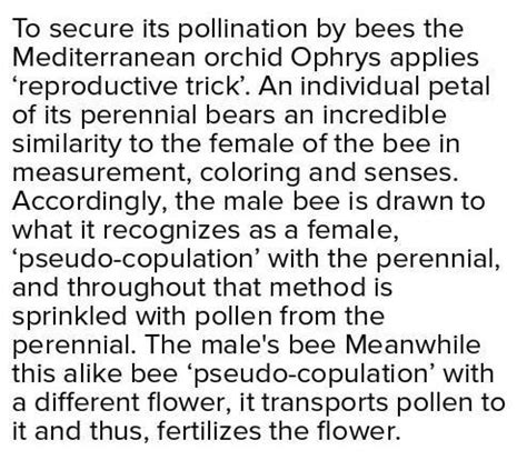 How does the floral pattern of mediterranean orchid gurantee cross ...