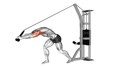 Cable Rope High Pulley Tricep Extension - Video Guide & Tips
