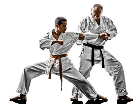 MARTIAL ARTS: KARATE: Differences Between Okinawan Karate & Japanese Karate