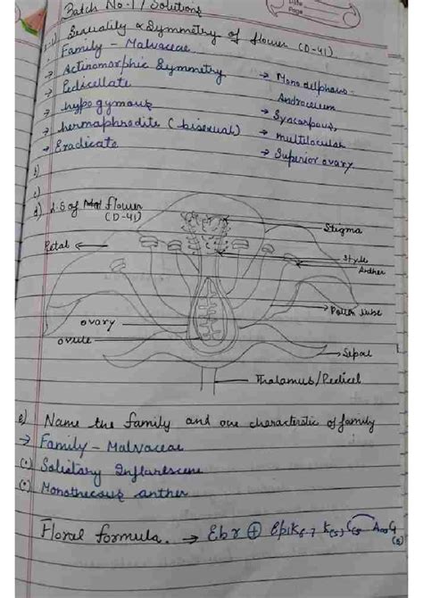 Biology 101: Morphological Notes on Malvaceae & Ascaris Structure - Studocu