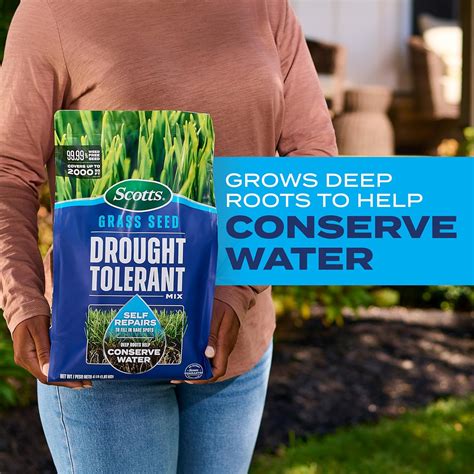 Scotts Grass Seed Drought Tolerant Mix, Kentucky India | Ubuy
