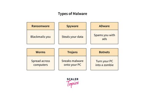 Image result for SQL Injection in DBMS