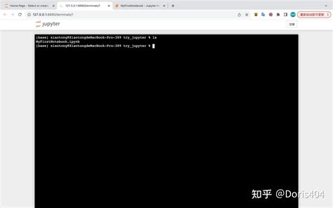 Sys.argv Python in Jupeter Notebook 的图像结果