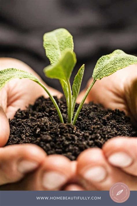 Image result for Humidity Grow Tent