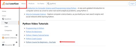 Best Video Course for Python 的图像结果