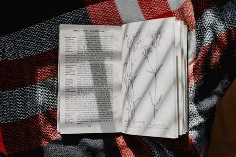 Read vs. Read: What’s the difference? – The Word Counter