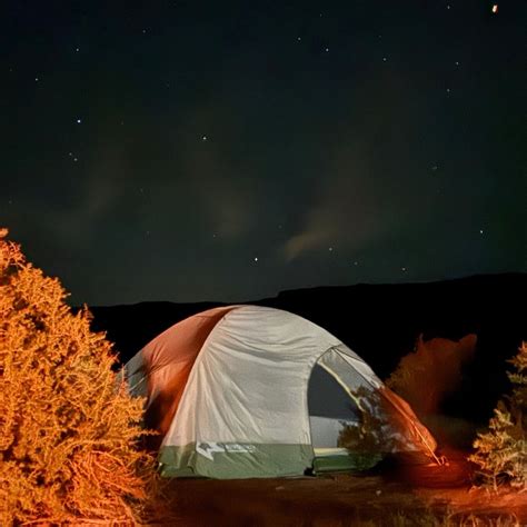 PLOT TWIST ADVENTUES (2026) All You Need to Know BEFORE You Go (w ...