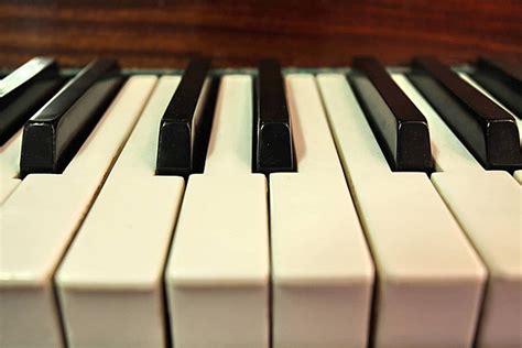 Image result for Piano Roblox Corpse Bride