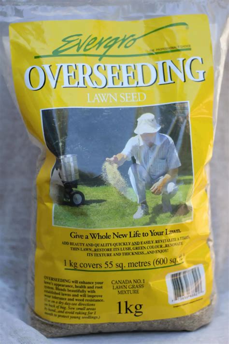 Overseeding Lawn Seed 1kg or 4kg - Southwest Garden Supplies Ltd