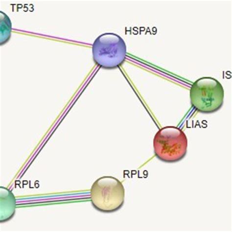 Image result for STRING Protein Interactions
