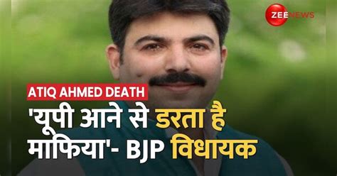 'No mafia is ready to come to UP', says BJP MLA Shalabh Mani Tripathi ...