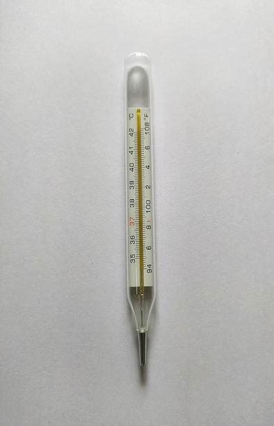 Clinical Thermometer - Buy Clinical Thermometer online at Best Prices ...