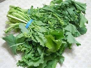E plant Kashmiri Saag Seeds : Amazon.in: Garden & Outdoors