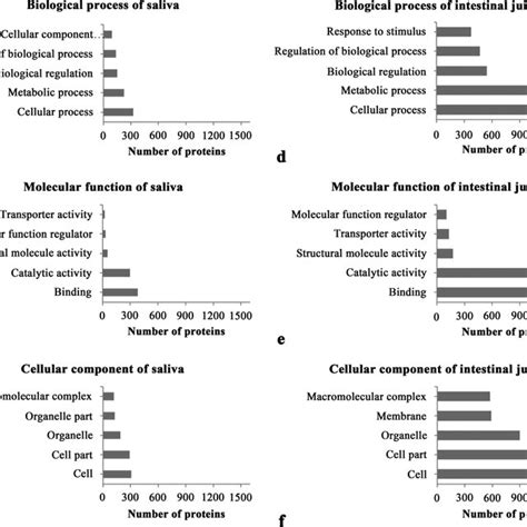 Image result for Class X BioLife Processes