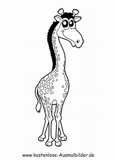 malvorlagen giraffe um ausmalbild giraffe 4 zum ausdrucken malvorlagen giraffe um ausmalbild giraffe 4 zum ausdrucken