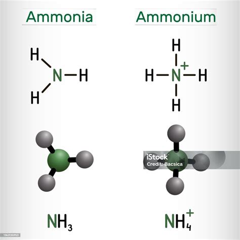 Ammonia Formula Reaction Kinetics For Ammonia Synthesis Using