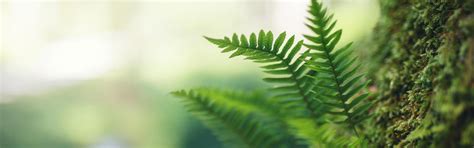 Birli Knitters » Environmental Sustainability