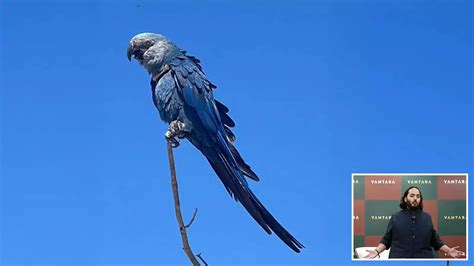 Image result for Python Source Code Drawing