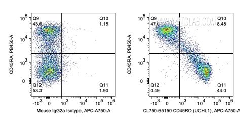 CD45RO antibody (CL750-65150) | Proteintech