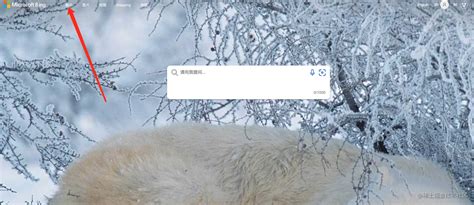 必应浏览器 的图像结果