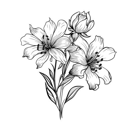 Premium Vector | Hand drawn wild flower vector