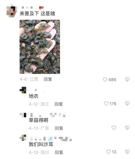 男子山上挖野菜突然听到尖叫声 一个白影闪过