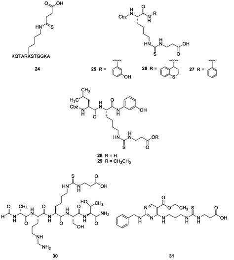 Insights on the Modulation of SIRT5 Activity: A Challenging Balance