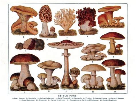 Image result for Different Scanner Types in Java