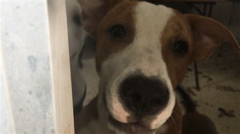 Homes destroyed by possible tornado in Norman | KFOR.com Oklahoma City