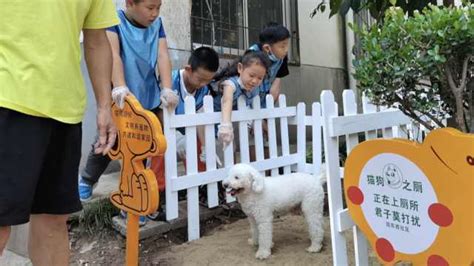遛狗普法两不误！珠海公安在“宠物公园”开展文明养犬宣传活动