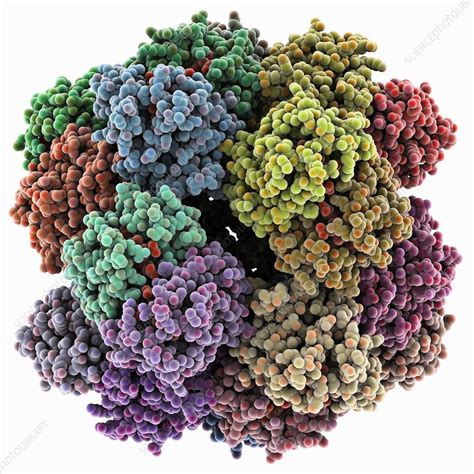 Image result for Haemoglobin PyMOL