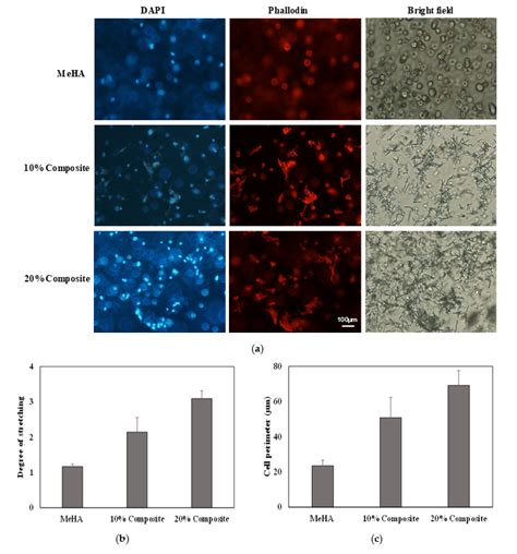Composite Hydrogel of Methacrylated Hyaluronic Acid and Fragmented ...
