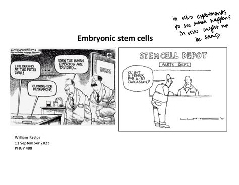 Embryonic stem cells lecture v4 - Embryonic stem cells William Pastor ...