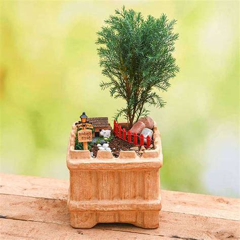 Buy DIY House warming with farm house garden - Miniature Garden online ...
