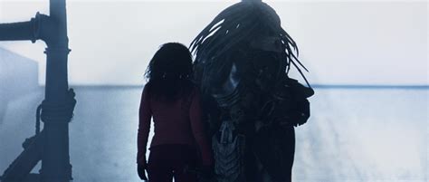 Alien vs Predador 的图像结果
