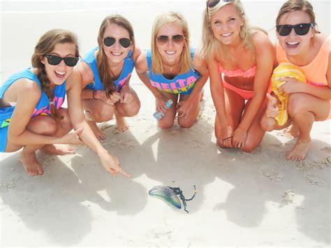 Image result for Spring Break 2012 Competition