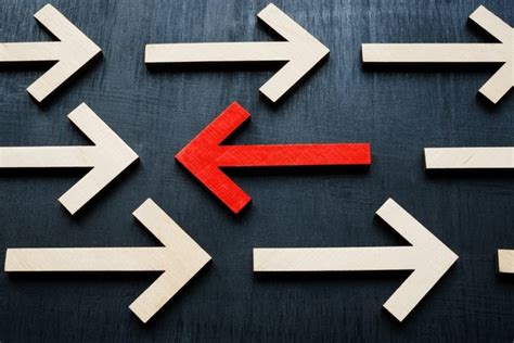 Contrary Antonym 的图像结果