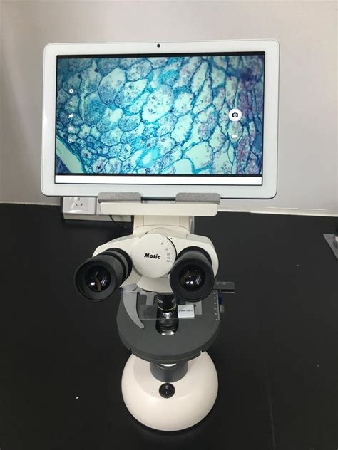 体视显微镜SM7-麦克奥迪显微镜安徽总代理_合肥南达科学仪器有限公司官网