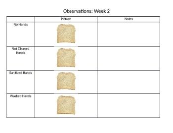 Image result for Hand Washing Experiment with Bread