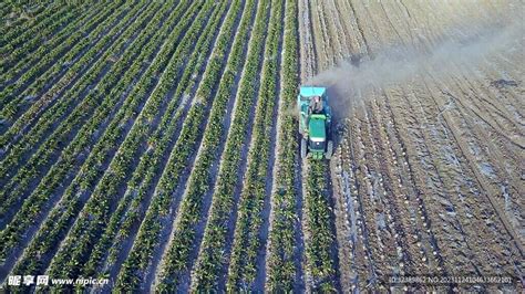 收割 的图像结果