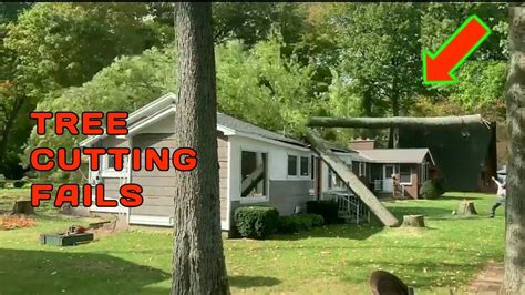 Tree Felling Fails 的图像结果