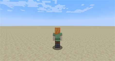 Image result for How Do You Go in Third Person in Minecraft Java Edition