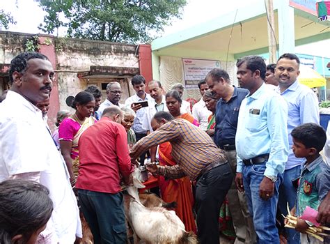 Community Development | Auroville Village Action Group