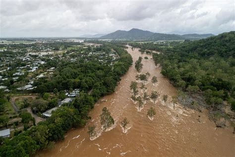 Avistan a cocodrilos en ciudades del noreste de Australia a causa de ...