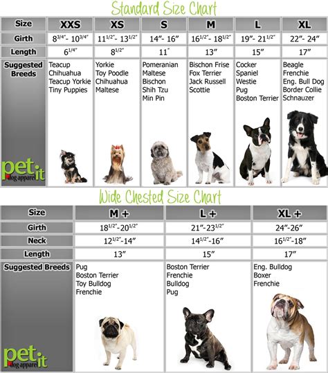 Dog clothing Size Chart: How to measure your dog to fit apparel ...