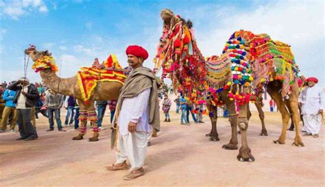 Camel Festival In Rajasthan 2025–2026: Pushkar and Bikaner Ultimate De ...