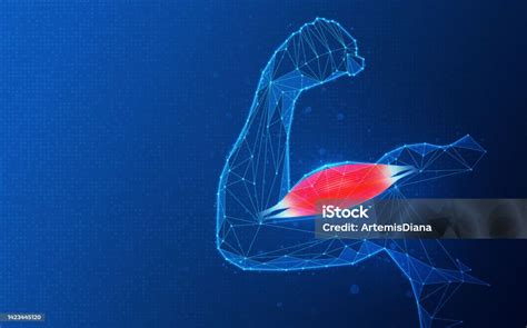 Tissue Engineering Journal 的图像结果